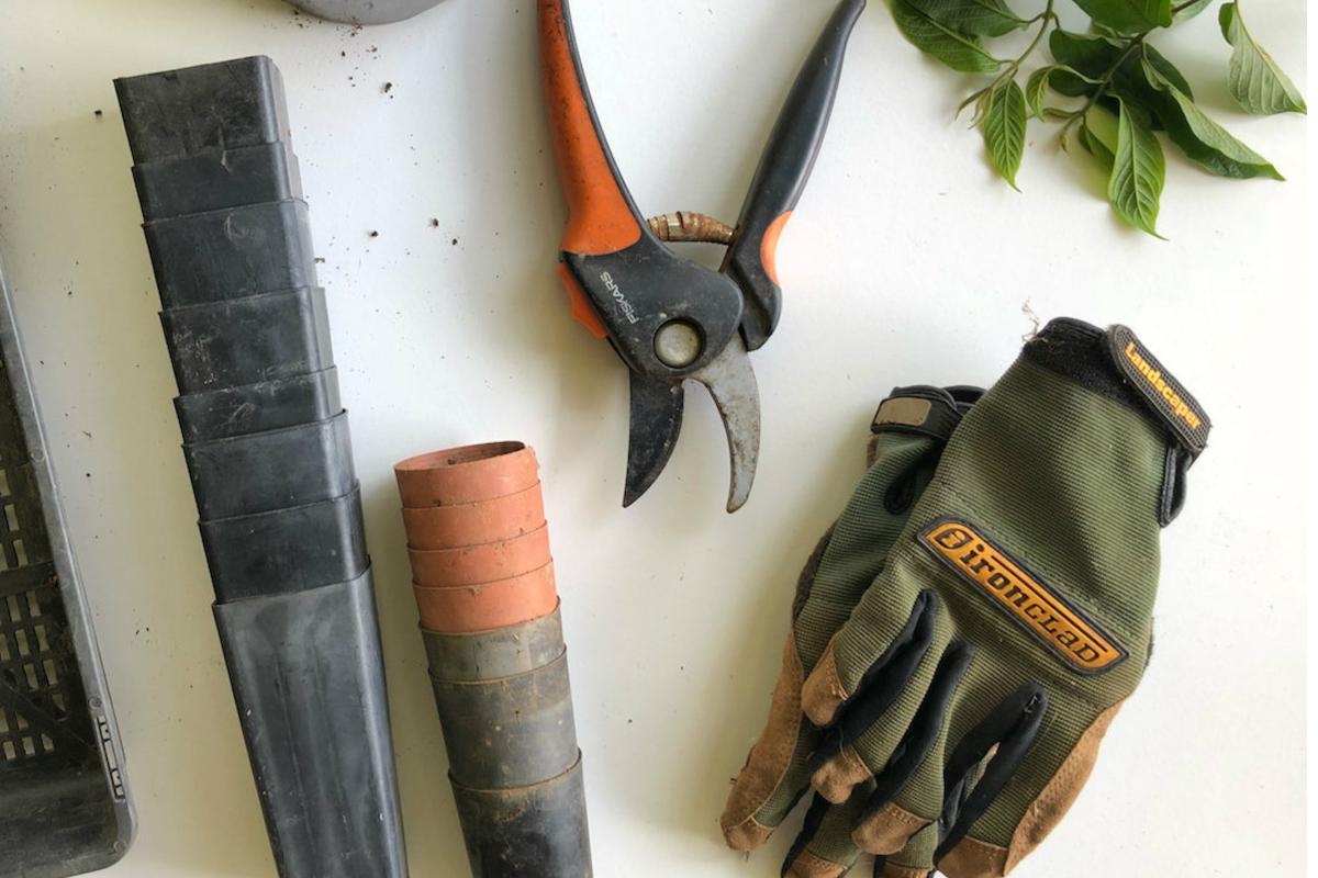 7 things you should know when renting a house with a garden